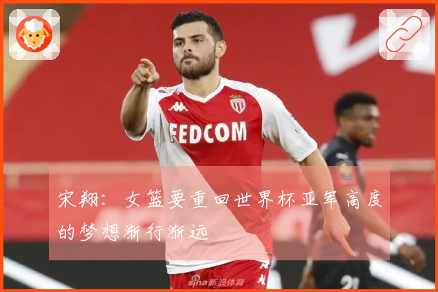 宋翔：女篮要重回世界杯亚军高度的梦想渐行渐远
