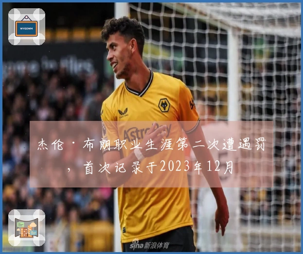 杰伦·布朗职业生涯第二次遭遇罚下，首次记录于2023年12月